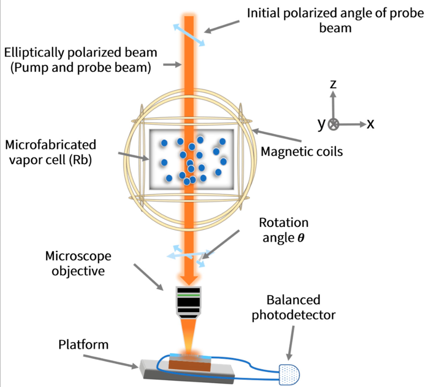 biosensors_2022_2.png
